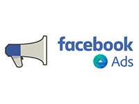 facebook ads management in vapi
