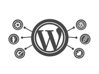 wordpress development in vapi